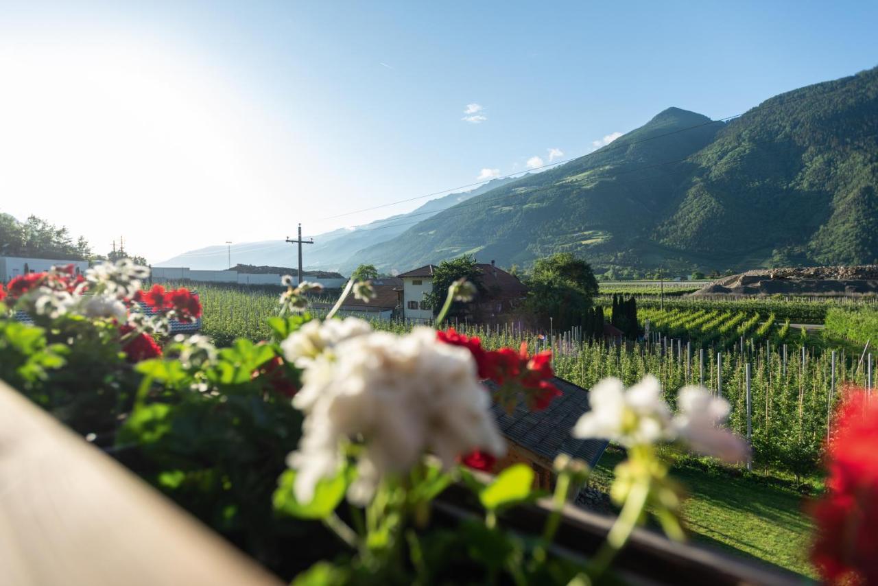 Ferienwohnung Pixnerhof - Urlaub am Biohof Kastelbell Exterior foto