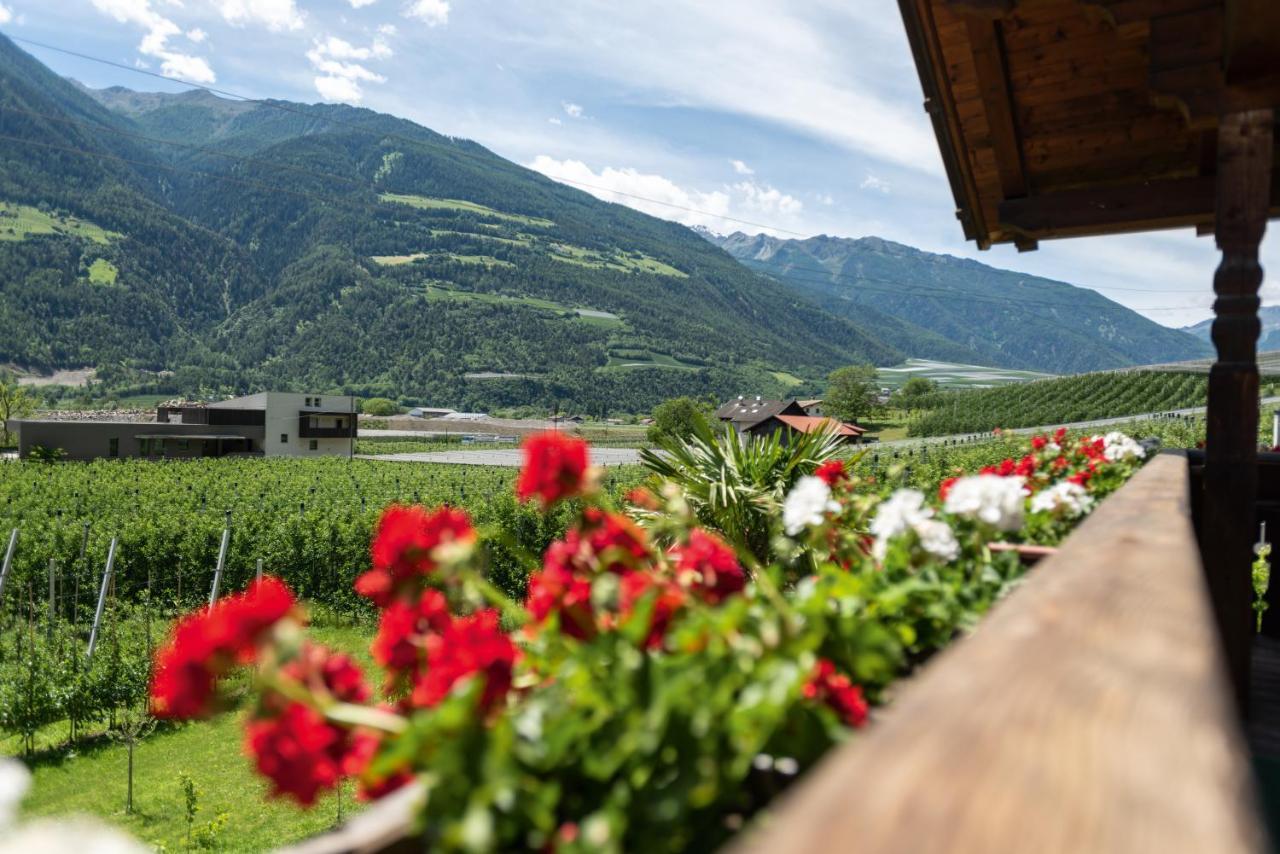 Ferienwohnung Pixnerhof - Urlaub am Biohof Kastelbell Exterior foto